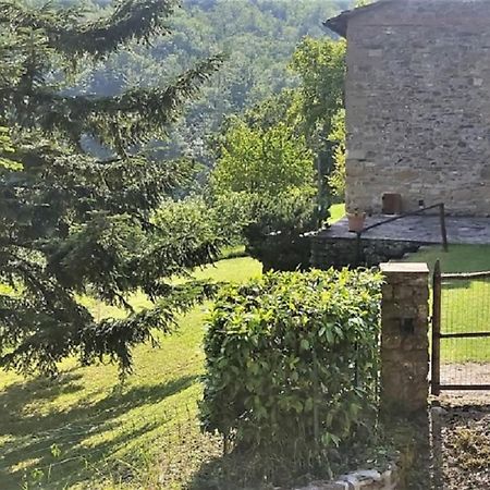 Casa Titina Riposo E Relax Nella Campagna Toscana Pratovecchio Exterior foto