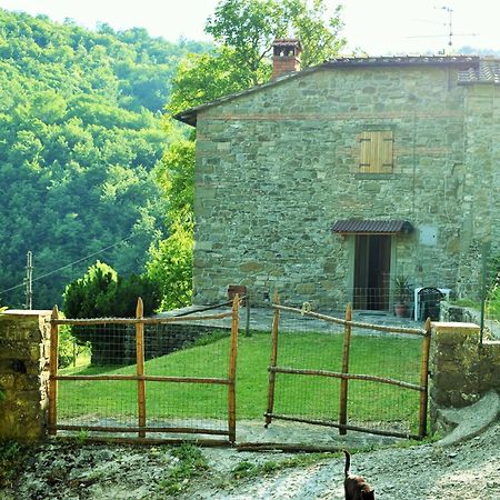 Casa Titina Riposo E Relax Nella Campagna Toscana Pratovecchio Exterior foto