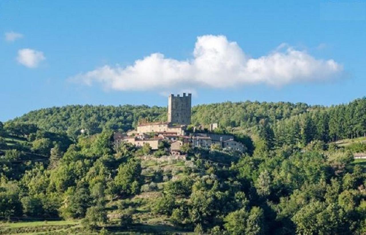 Casa Titina Riposo E Relax Nella Campagna Toscana Pratovecchio Exterior foto