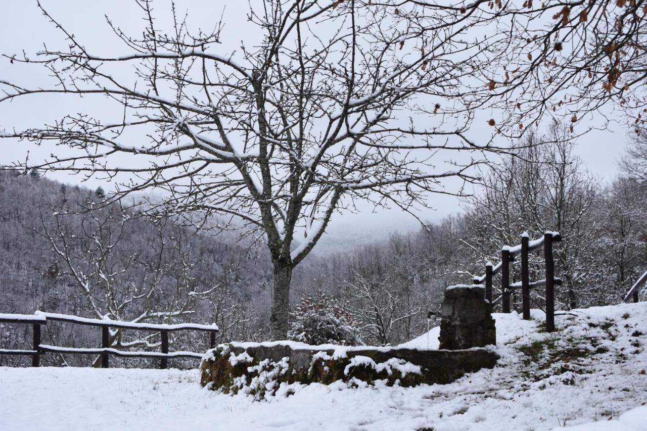 Casa Titina Riposo E Relax Nella Campagna Toscana Pratovecchio Exterior foto