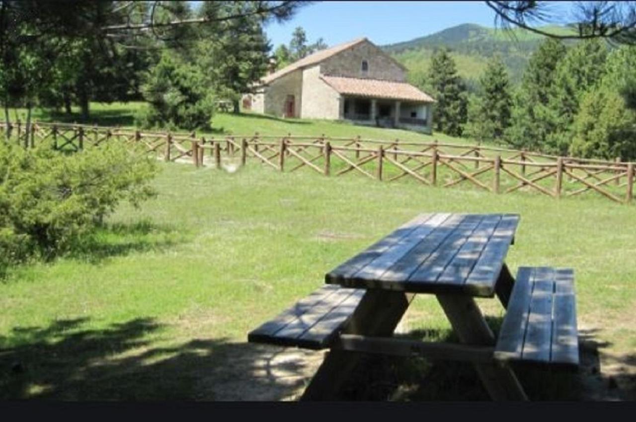 Casa Titina Riposo E Relax Nella Campagna Toscana Pratovecchio Exterior foto