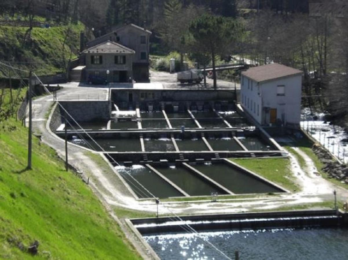 Casa Titina Riposo E Relax Nella Campagna Toscana Pratovecchio Exterior foto