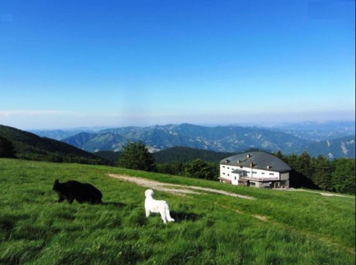 Casa Titina Riposo E Relax Nella Campagna Toscana Pratovecchio Exterior foto