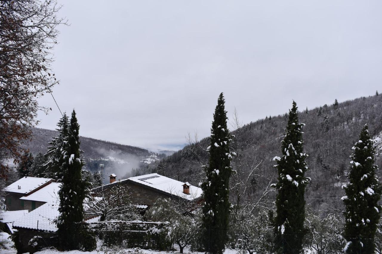 Casa Titina Riposo E Relax Nella Campagna Toscana Pratovecchio Exterior foto