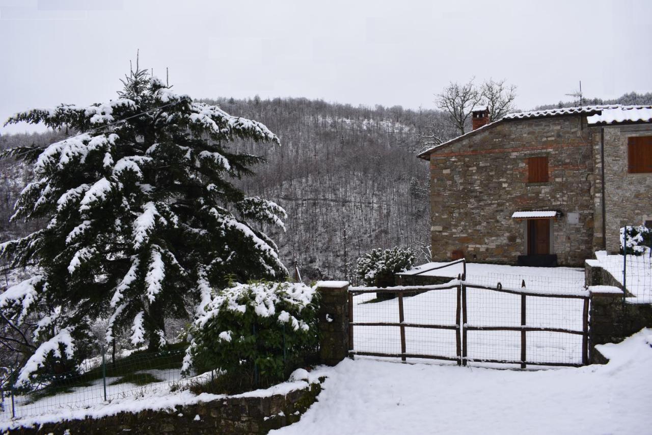Casa Titina Riposo E Relax Nella Campagna Toscana Pratovecchio Exterior foto