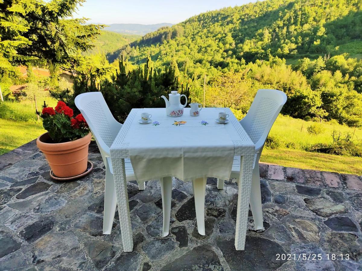 Casa Titina Riposo E Relax Nella Campagna Toscana Pratovecchio Exterior foto